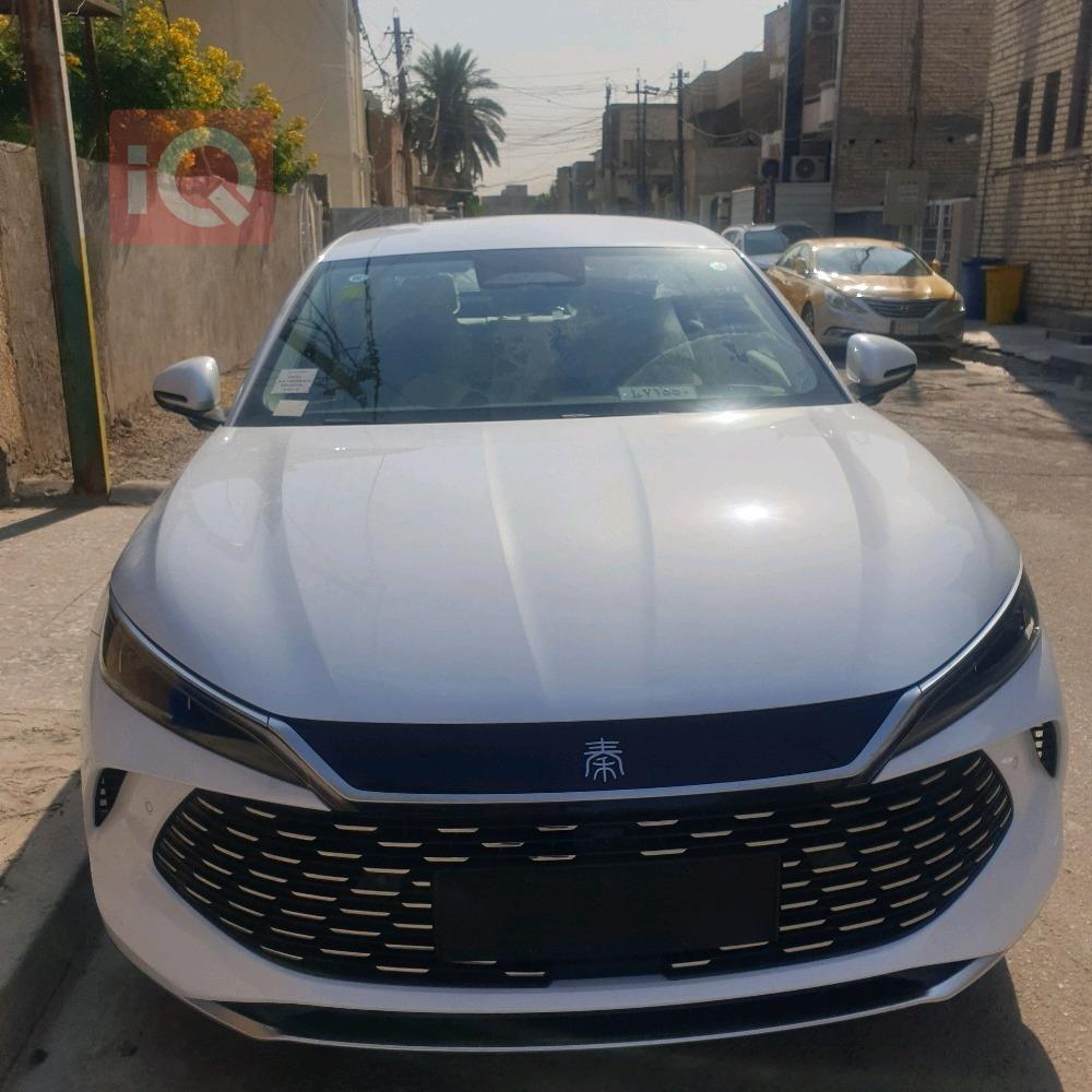 بي واي دي كوين L DM-i